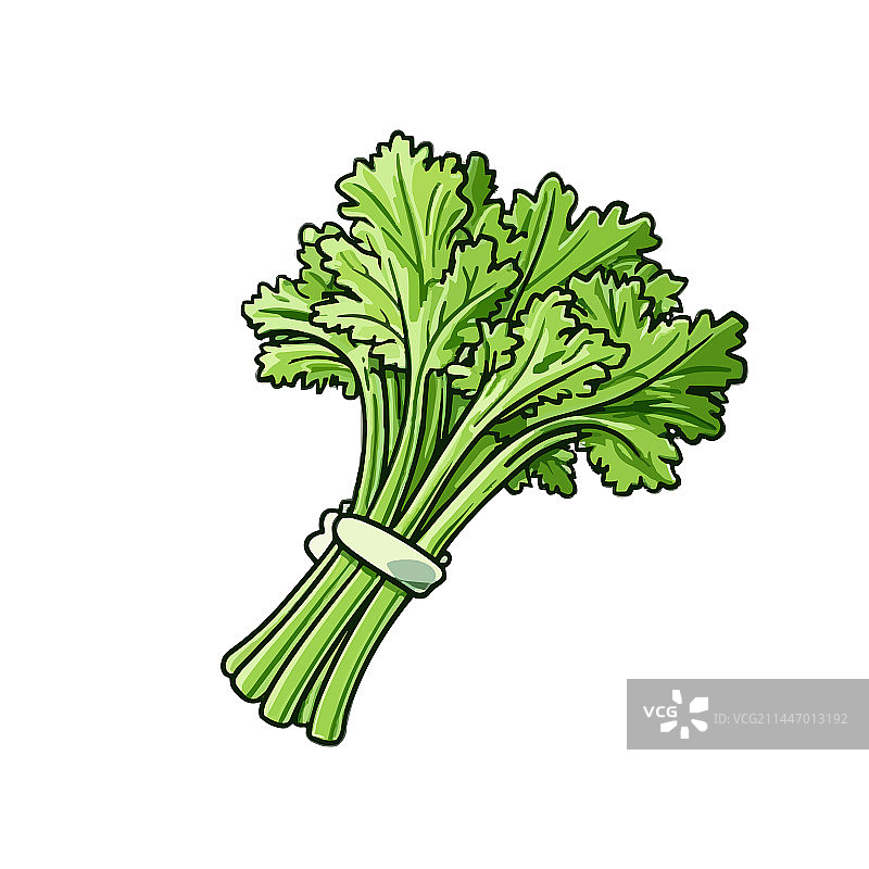 手绘卡通芹菜图片素材
