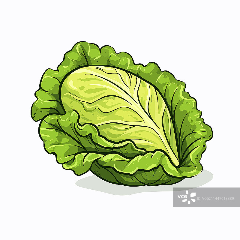 手绘涂鸦风格的生菜卡通图片素材