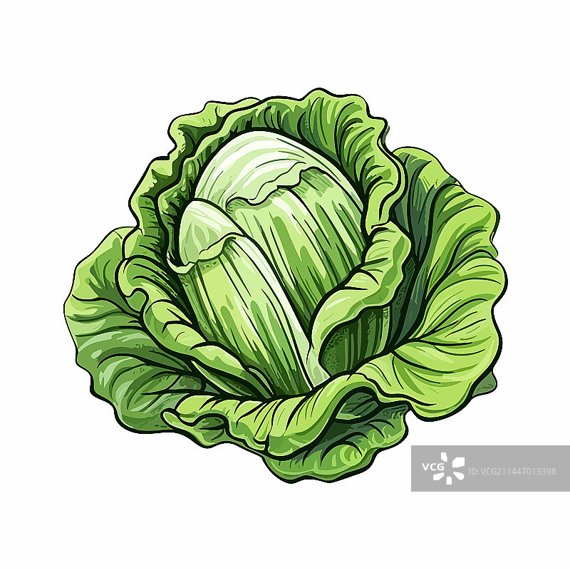 手绘涂鸦风格的生菜卡通图片素材