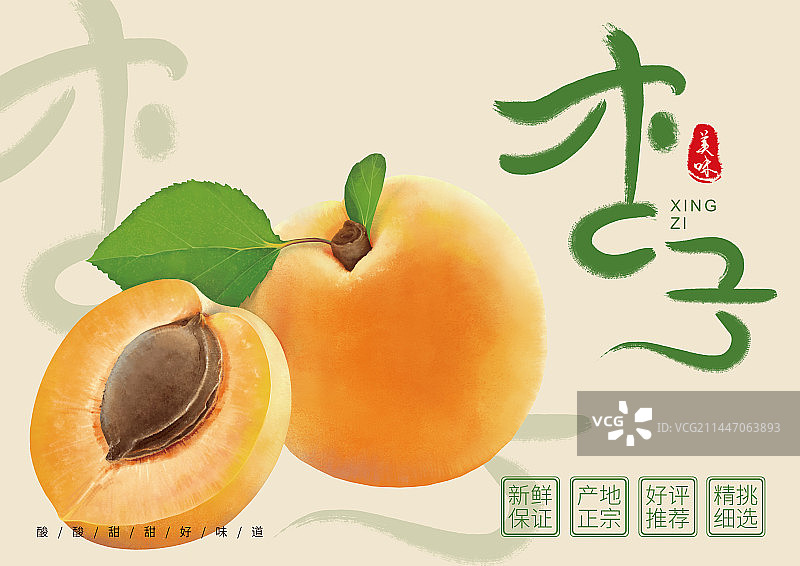 杏子图片素材