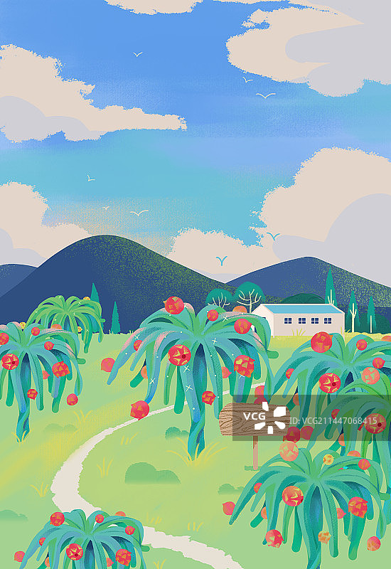 晴天户外火龙果农场果园图片素材