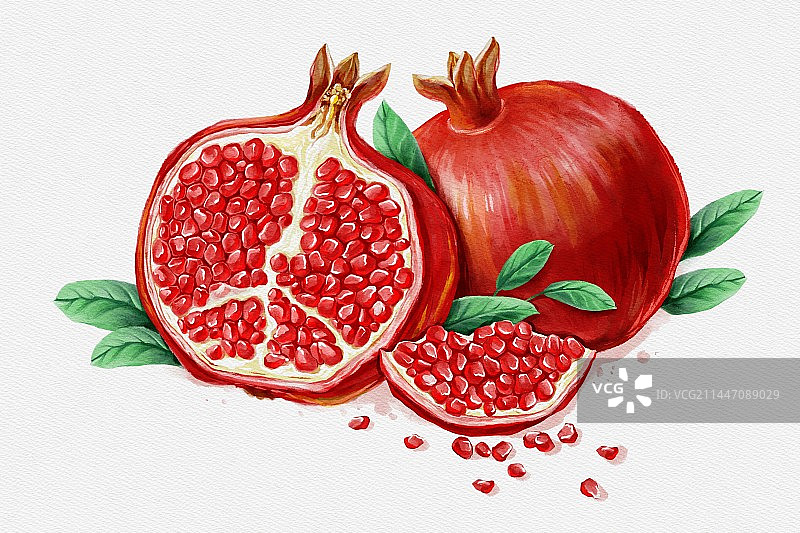 手绘复古水彩石榴组合图片素材