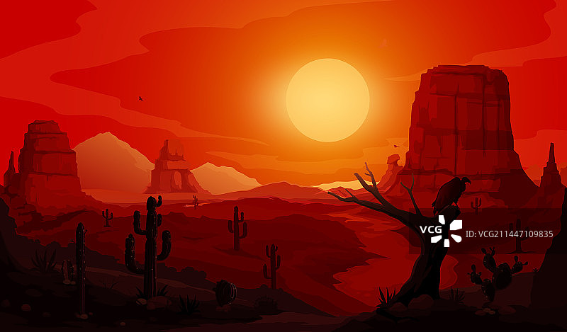 傍晚日落：墨西哥沙漠仙人掌景观图片素材