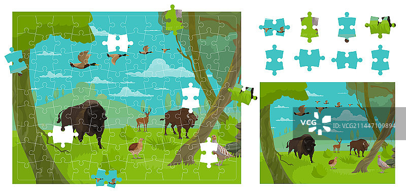 卡通森林动物和小鸟拼图图片素材
