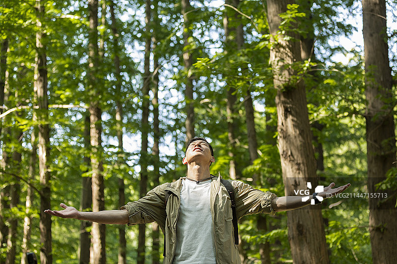 成熟男子在杉树林中张开手臂，呼吸新鲜空气，享受大自然图片素材