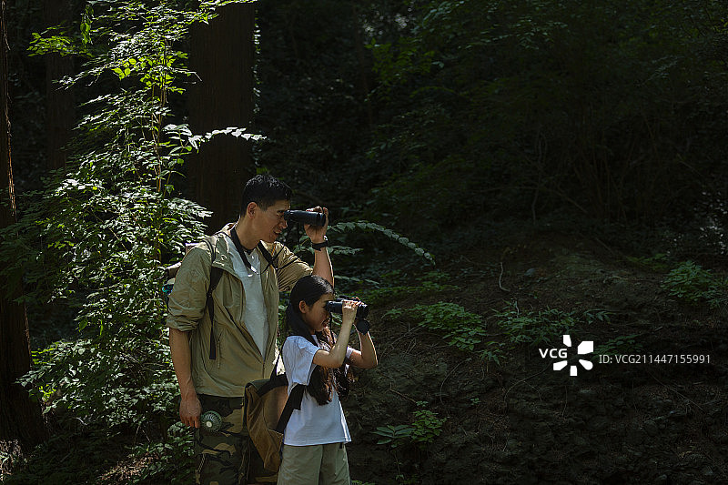 父亲和女儿在杉树森林中用望远镜探索大自然图片素材