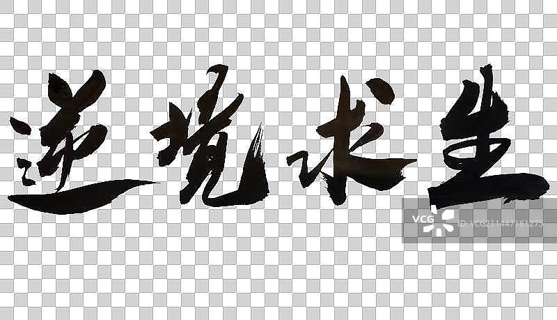 中国风书法手写毛笔字体逆境求生图片素材