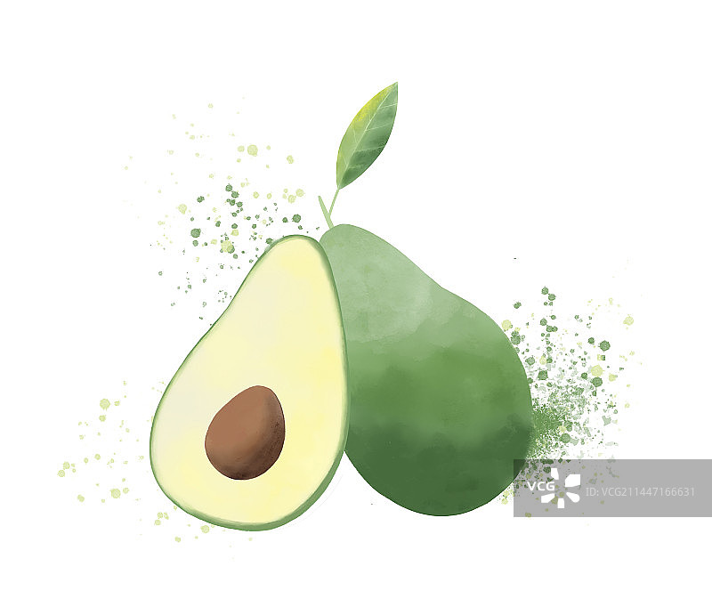 牛油果水彩插画图片素材