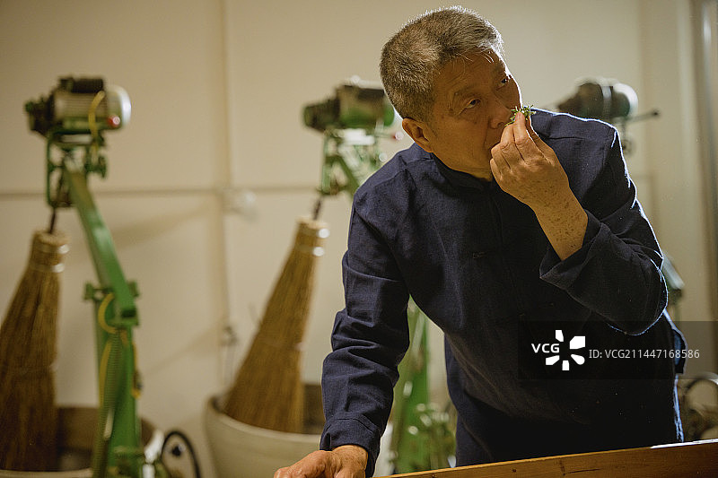 资深的制茶大师制茶图片素材