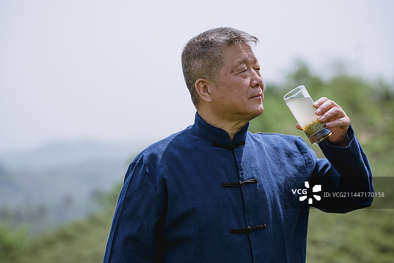 资深的制茶大师品茶绿茶图片素材