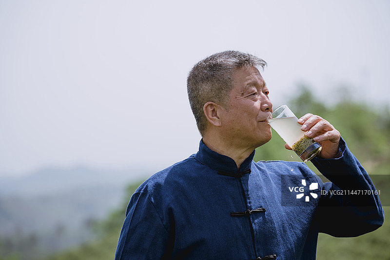 资深的制茶大师品茶绿茶图片素材