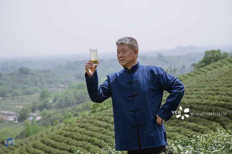 资深的制茶大师品茶绿茶图片素材