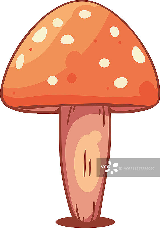 红色真菌图片素材