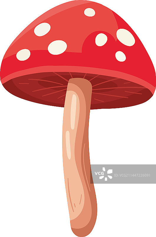 红色蘑菇设计图片素材