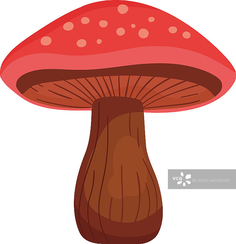 红色真菌图片素材