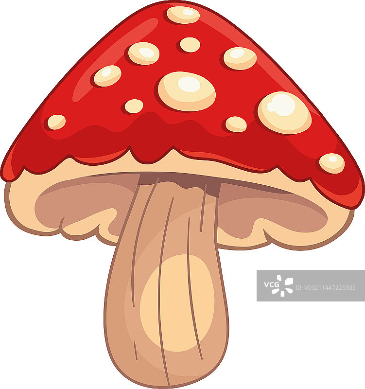 真菌设计图片素材