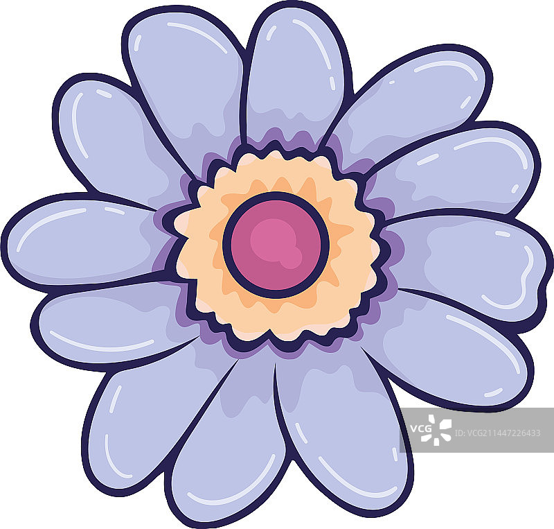 可爱的紫色花朵图片素材