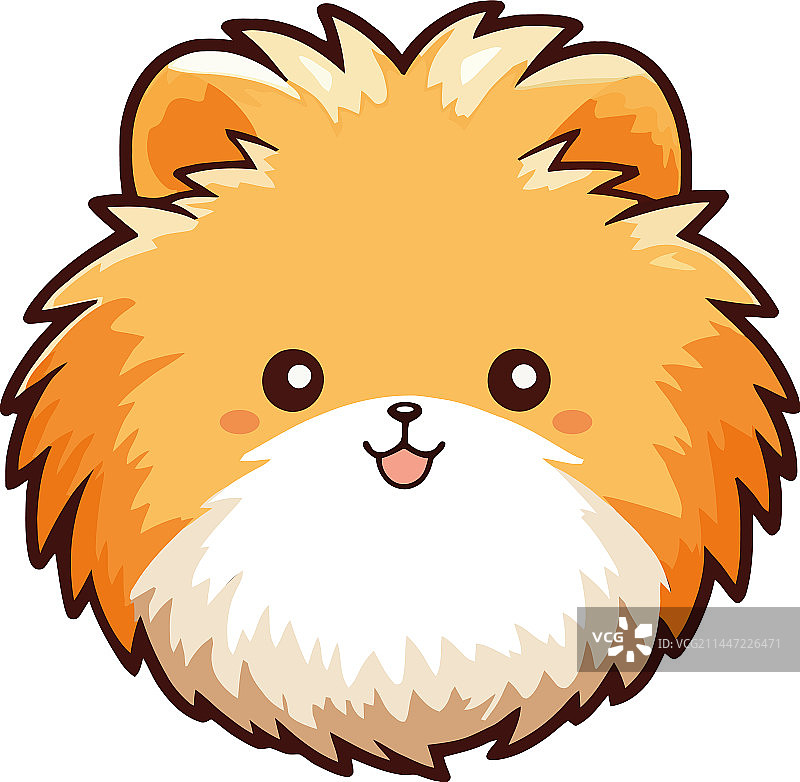 蓬松的博美犬幼犬图片素材