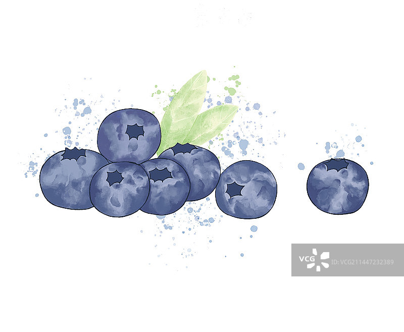 蓝莓水彩插画图片素材