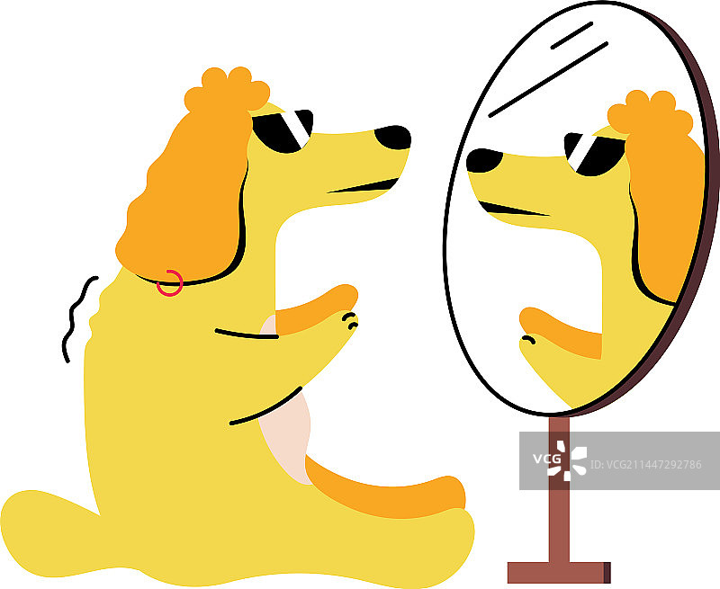 狗镜子图片素材