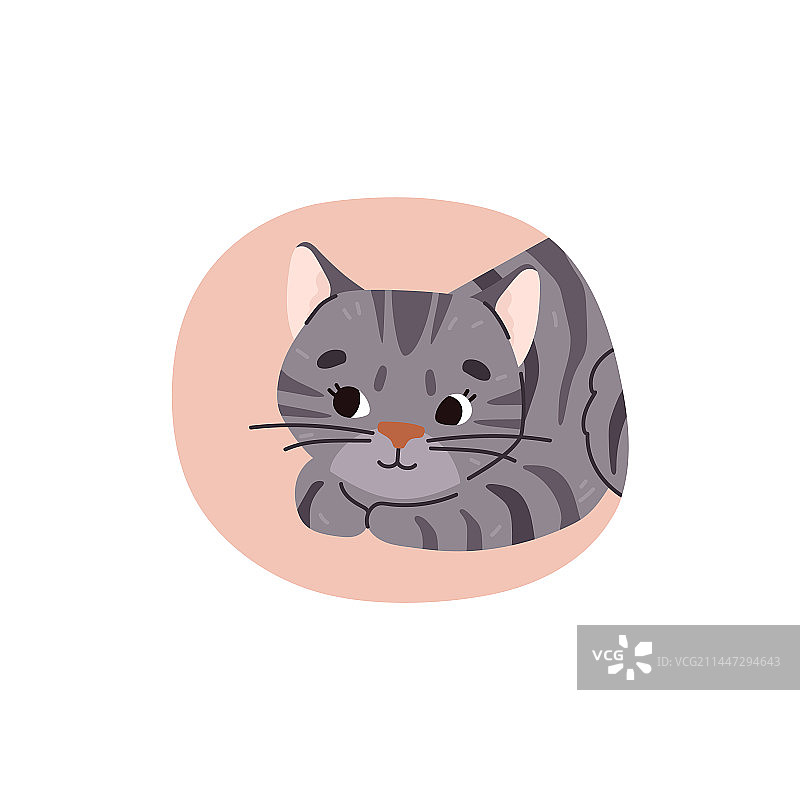 用于贴纸的彩色背景上的可爱小猫咪图片素材