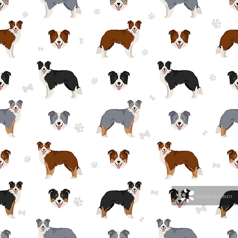 边境牧羊犬无缝图案图片素材