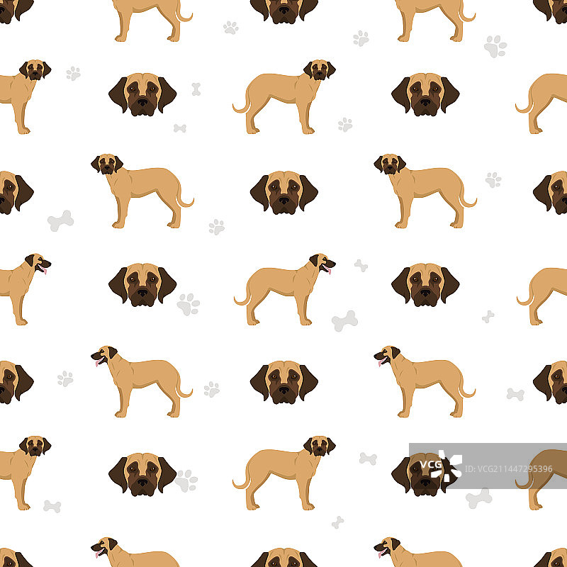 不同毛色的布罗荷马犬无缝图案图片素材