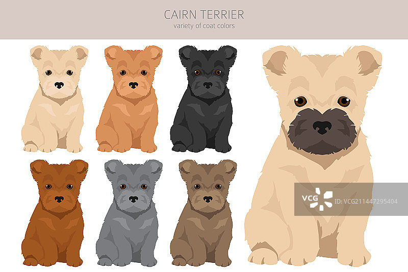 凯恩梗幼犬剪贴画不同姿势图片素材