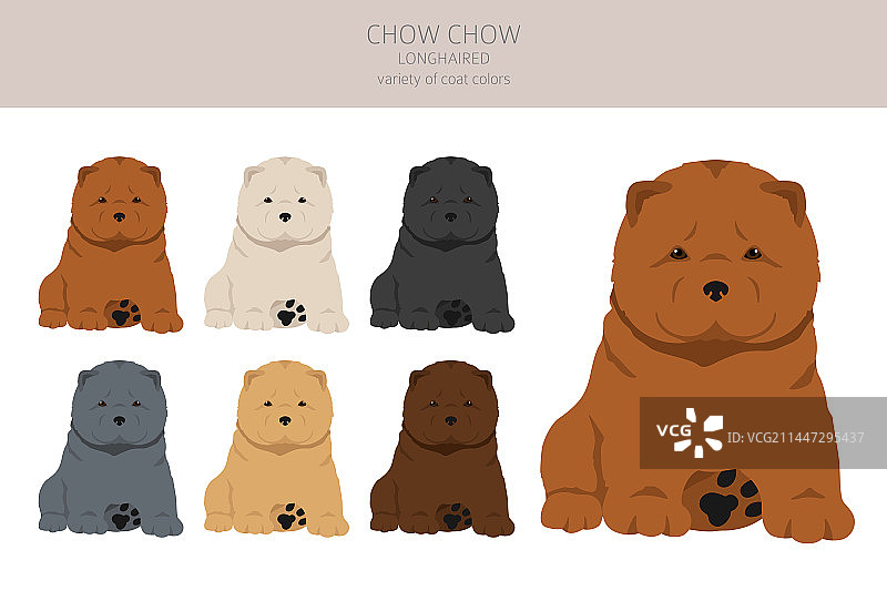 多种长毛松狮犬小狗剪贴画图片素材