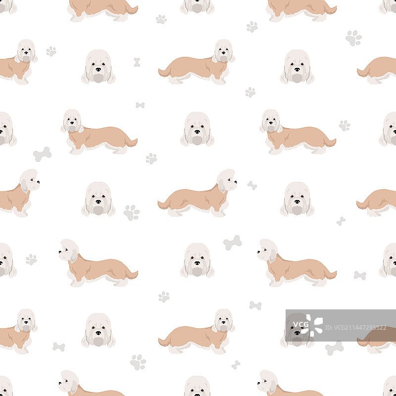 丹迪丁蒙梗犬无缝图案图片素材