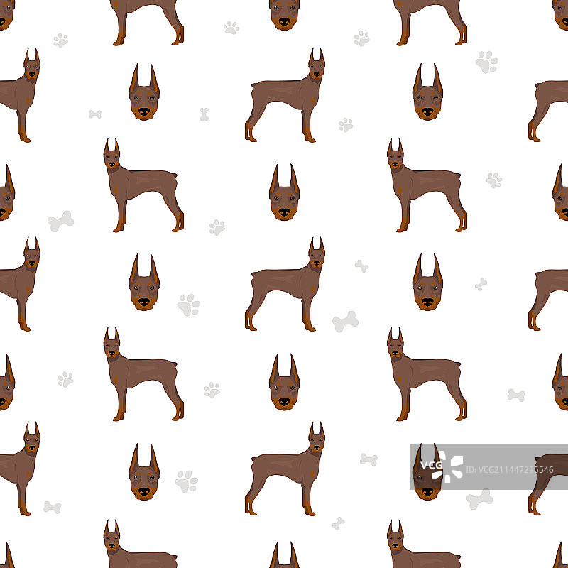 杜宾犬无缝图案图片素材