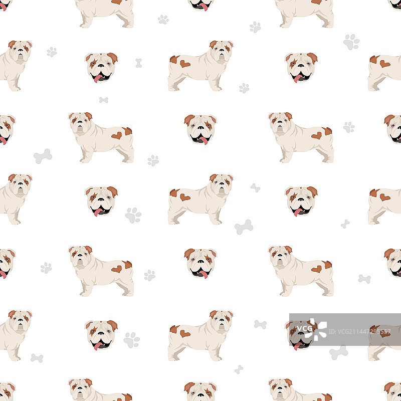 不同姿势的英国斗牛犬无缝图案图片素材