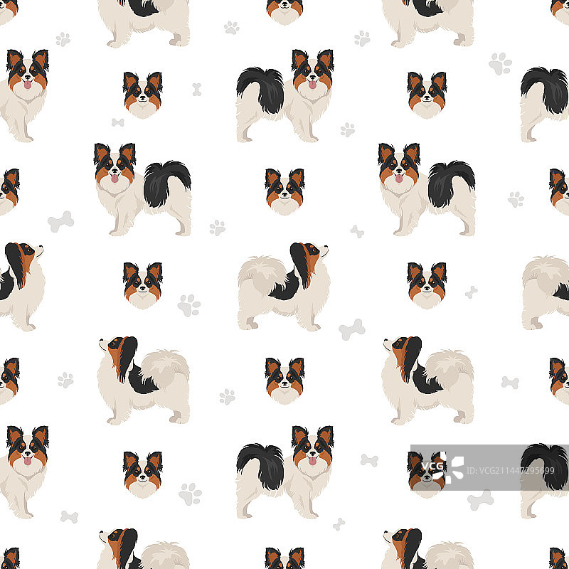 蝴蝶犬无缝图案不同姿势图片素材