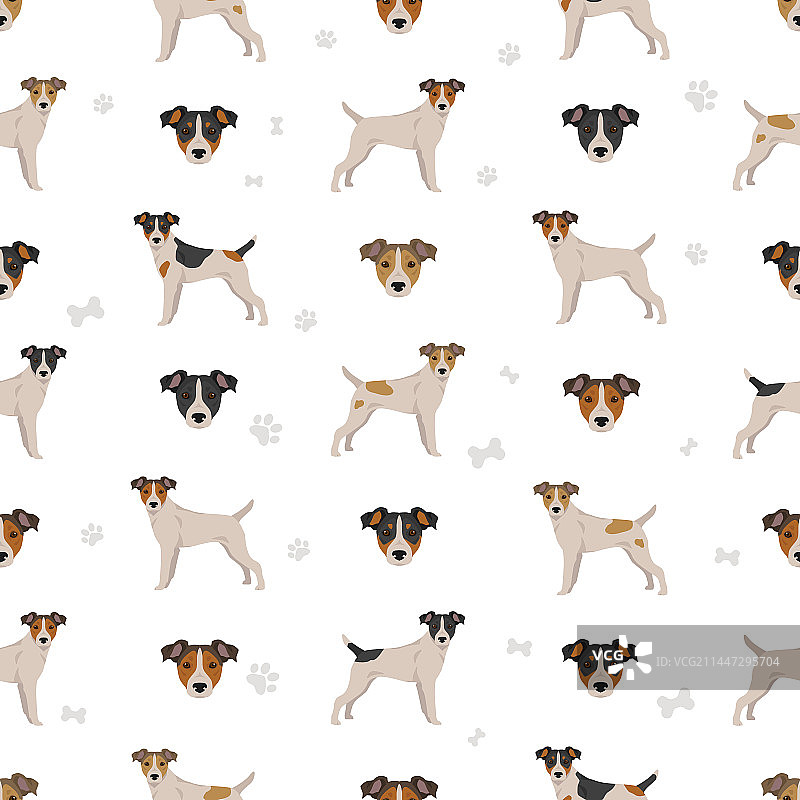 平毛帕森罗塞尔梗无缝图案图片素材