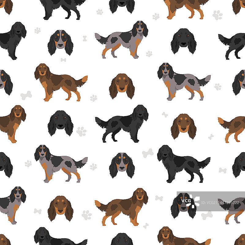 皮卡第猎犬无缝图案，所有毛色图片素材