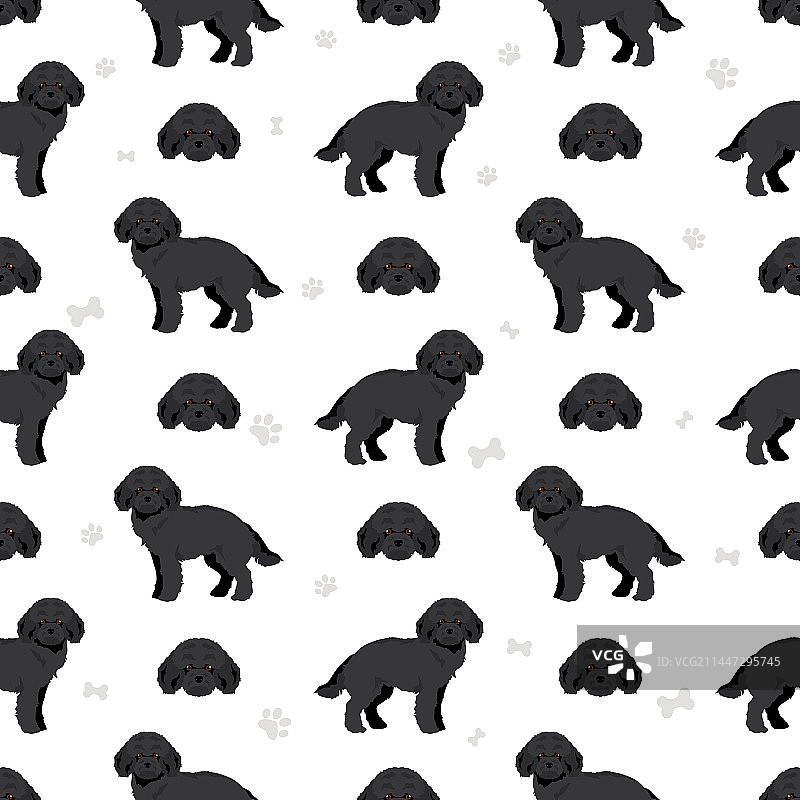 不同姿势的微型贵宾犬无缝图案图片素材