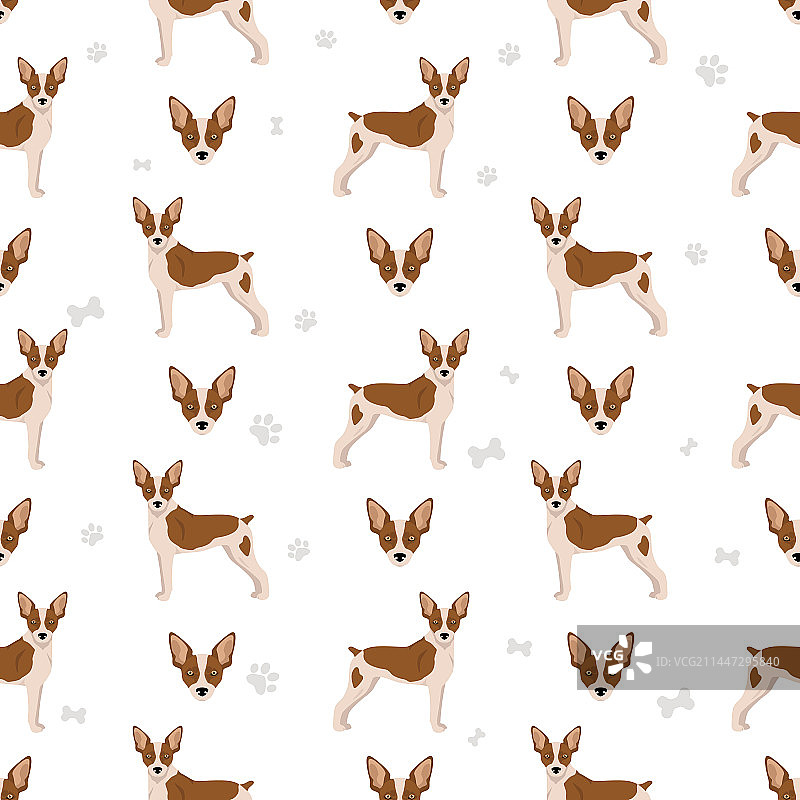 小梗犬无缝图案，不同姿势和毛色图片素材