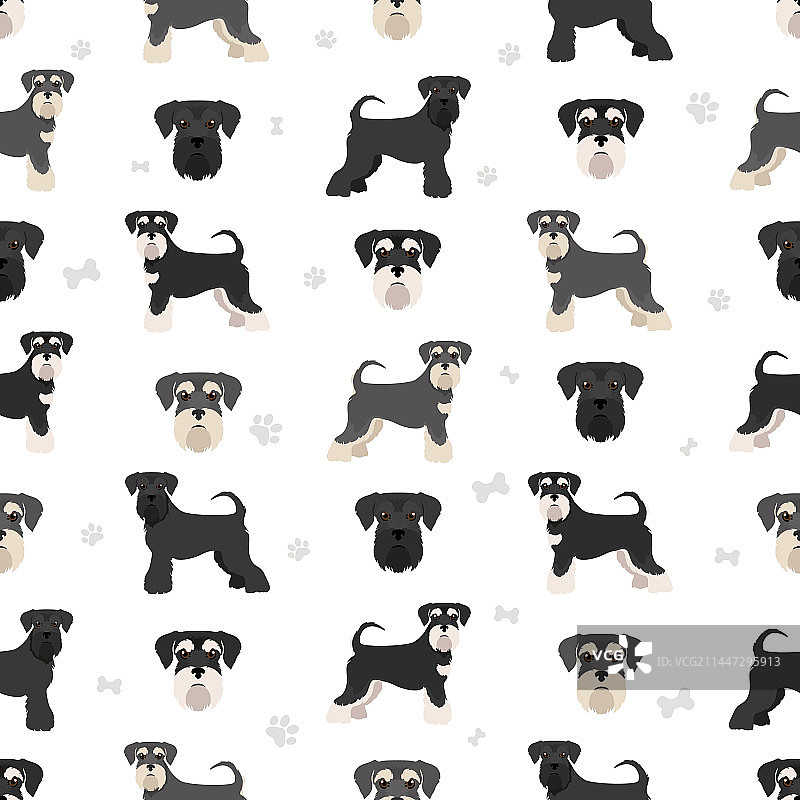 迷你雪纳瑞犬无缝图案图片素材