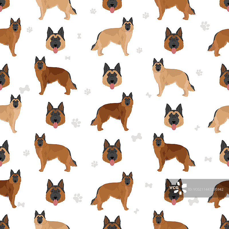 不同姿势的比利时特伏丹犬无缝图案图片素材