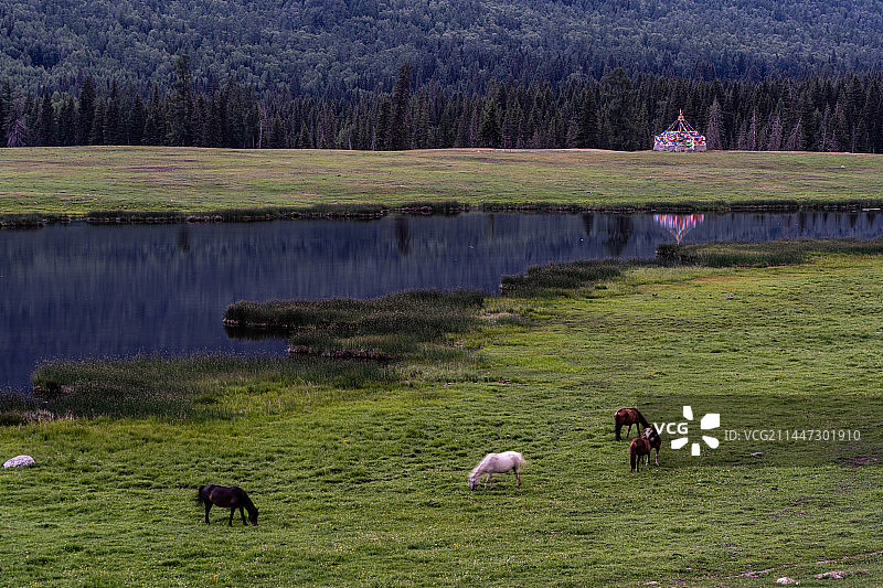 自然风景（中国、喀纳斯鸭泽湖）图片素材
