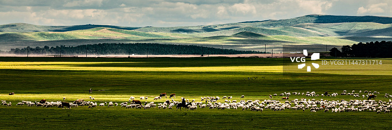 呼伦贝尔大草原和羊群图片素材