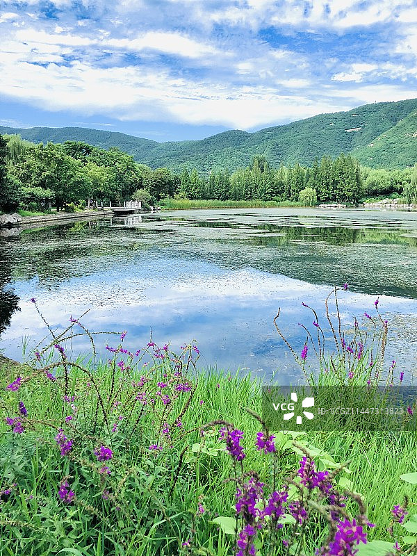 北京植物园图片素材
