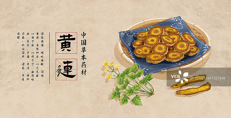 中国传统文化中草药药材之黄连图片素材