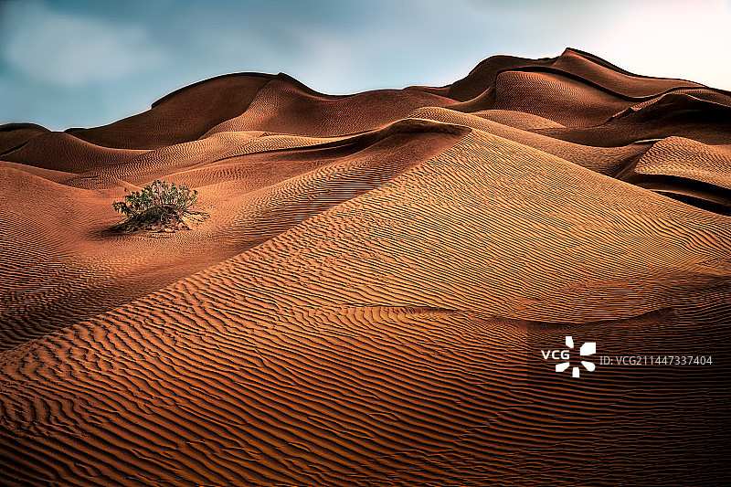 生命力图片素材