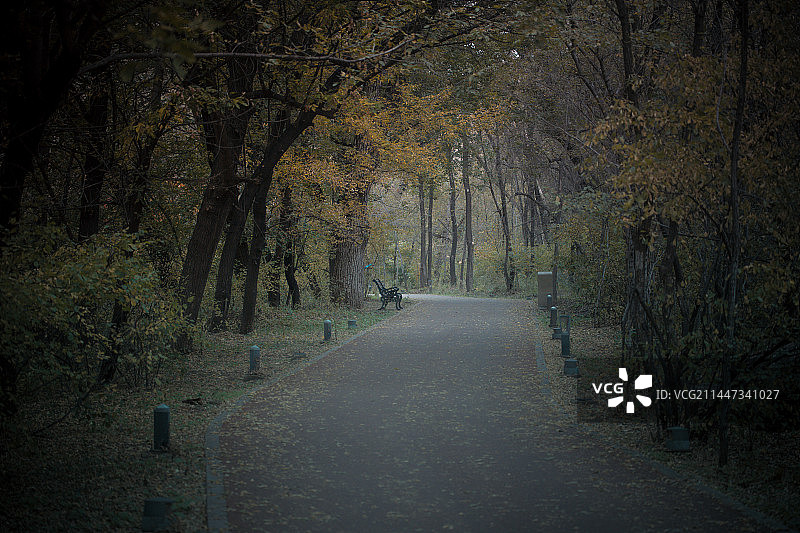 中国内蒙古神秘的的扎兰屯吊桥公园图片素材