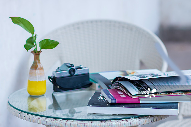 桌子上的文艺复古相机与书和盆栽植物的特写镜头图片素材