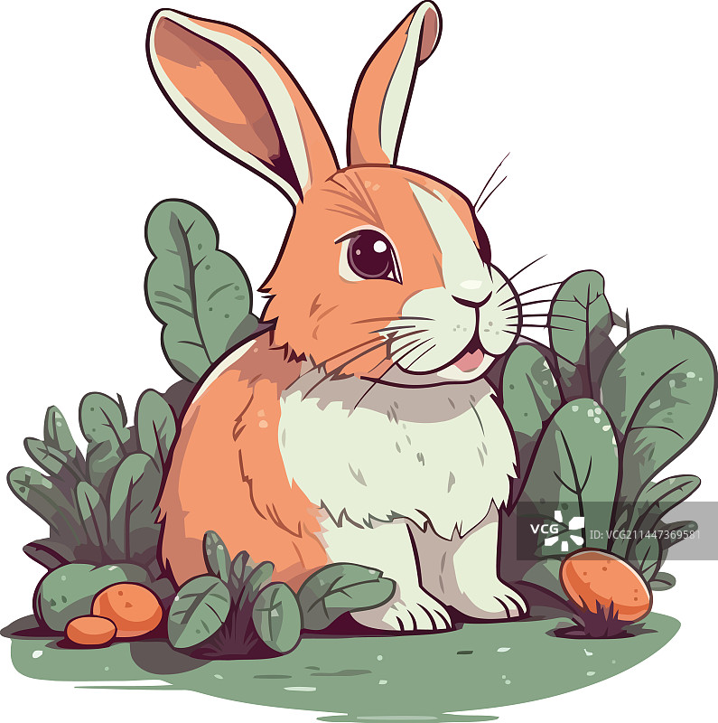 在绿色草地上玩耍的绒毛小兔图片素材