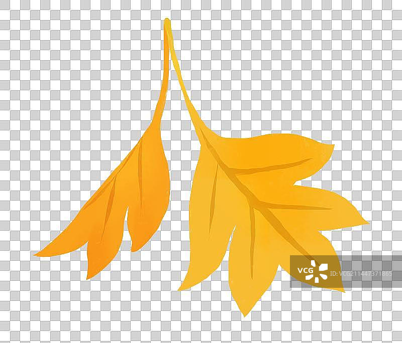 秋天节气插画元素五颜六色的树叶枫叶图片素材