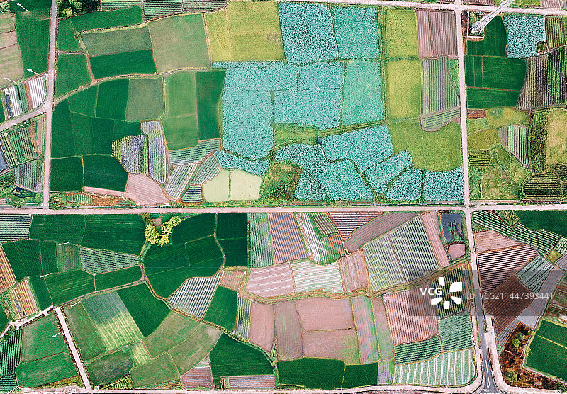 航拍水稻梯田和小路图片素材