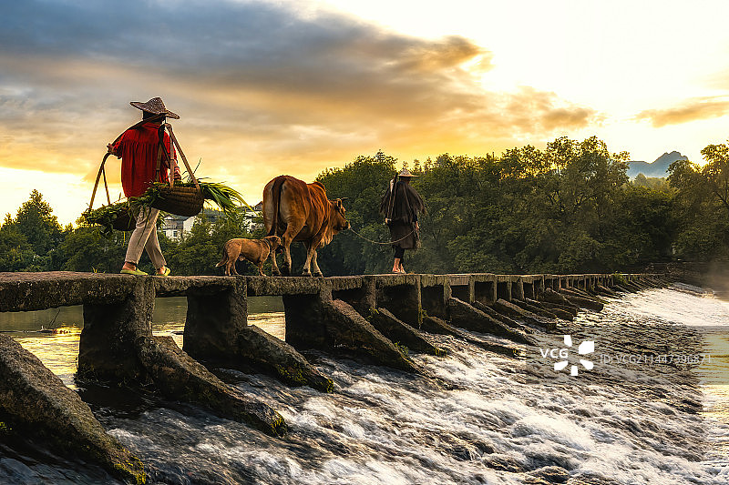 晨曦里的农夫一家图片素材